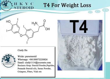 T4 Fat Burning Steroids Powder Levothyroxine Sodium T4 For Weight Loss