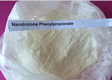 Beyaz Toz Nandrolone Steroid / Durabolin Nandrolone Phenylpropionate CAS 62-90-8