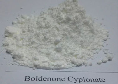 White Bodybuilding Raw Powder Boldenone Steroid / Boldenone Cypionate CAS 106505-90-2 For Muscle Building