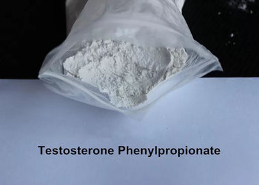 Phenylpropionate Testosterone Steroid Powder CAS 1255-49-8