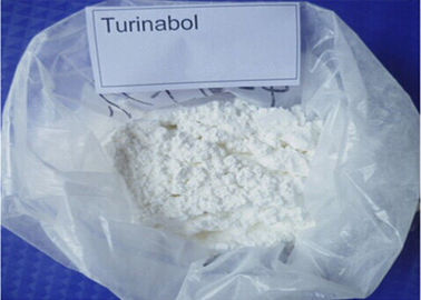 Oral Turinabol T-bol 4- Chlorodehydromethyltestosterone Cutting Cycle Steroids