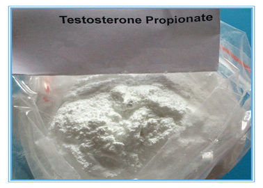 Testosteron Tozu CAS 57-85-2 Test Propinoat Enjeksiyon Steroid