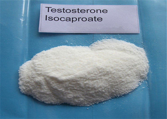 98% Oral Anabolic Steroid Hormone Testosterone Isocaproate CAS 15262-86-9 For Male Sexual Dysfunction