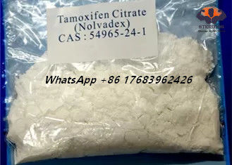 CAS 54965-24-1 Nolvadex Tamoksifen Sitrat Östrojen Engelleyici Steroidler Beyaz Kristal Toz